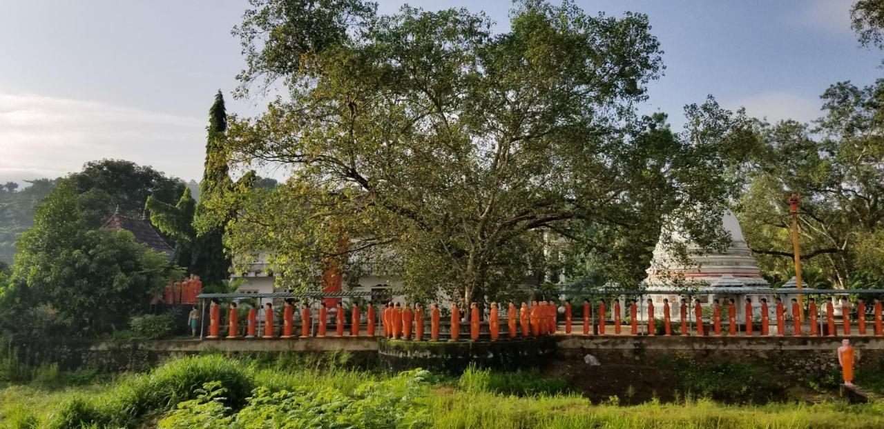 Che'S Villa Kandy Esterno foto